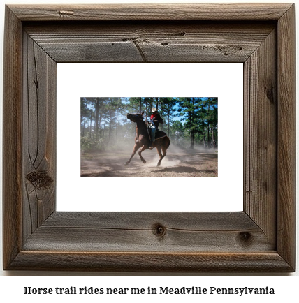 horse trail rides near me in Meadville, Pennsylvania